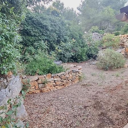 Maisonnette Chez L'Habitant Λα Σιοτά Εξωτερικό φωτογραφία