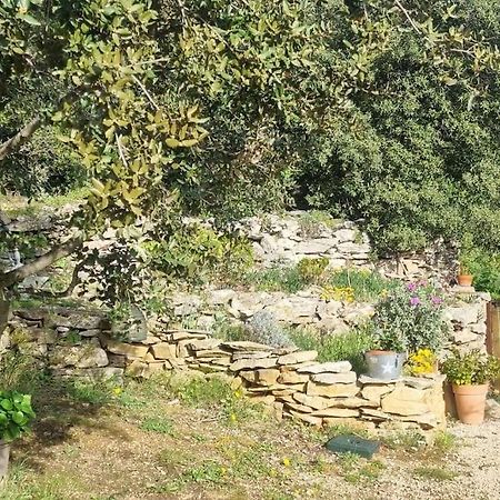 Maisonnette Chez L'Habitant Λα Σιοτά Εξωτερικό φωτογραφία